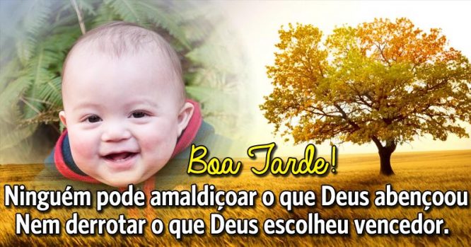 Ninguém pode amaldiçoar o que Deus abençoou