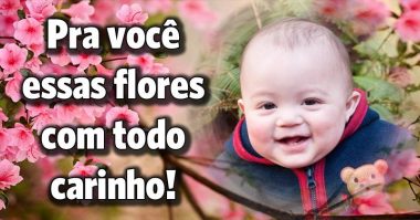 Pra você essas flores, com todo carinho