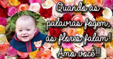 Flores pra quando as palavras fogem