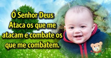 Senhor, combate os que me combatem