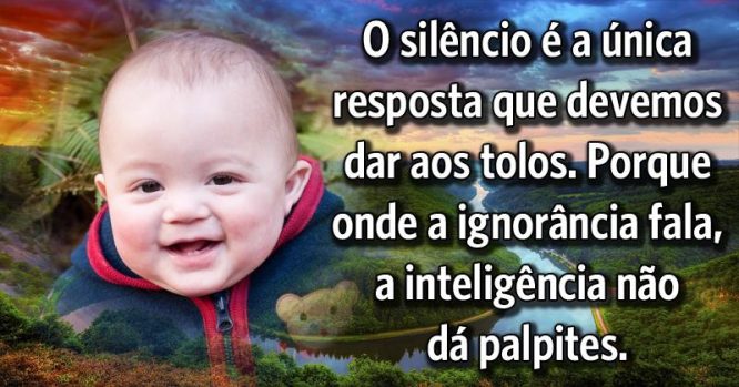 O silêncio é a única resposta à tolos